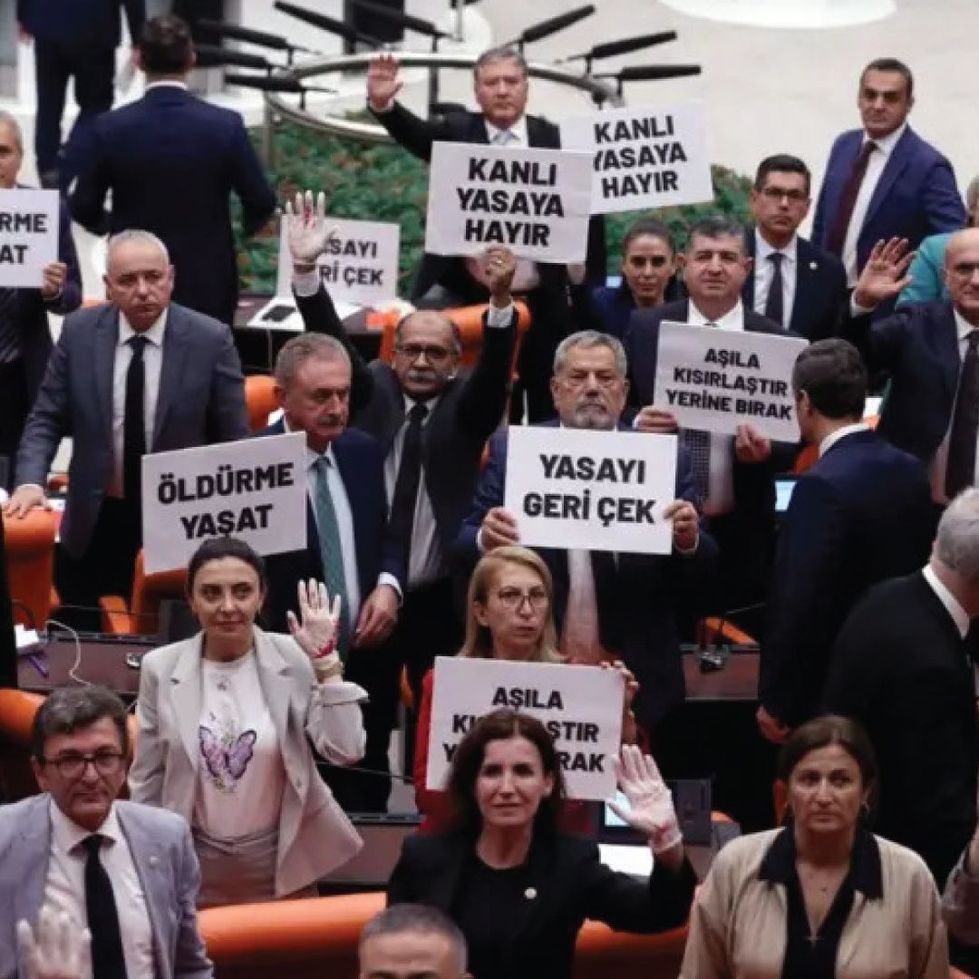 Sokak Hayvanlaryla lgili Dzenleme