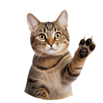 Yetikin Kedi Mamalar