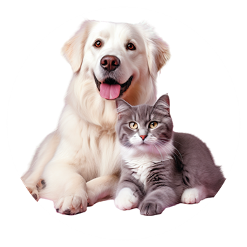 Kedi & Kpek Mamalar